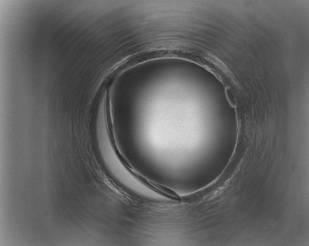 X0000070220826200606091648
