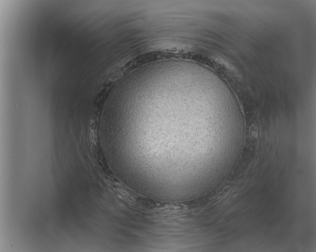 X0000070220869200606091648