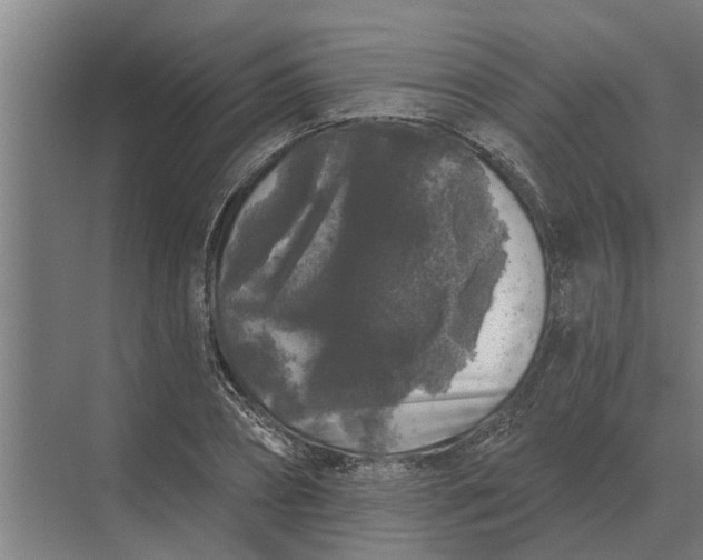 X0000070220882200606091647