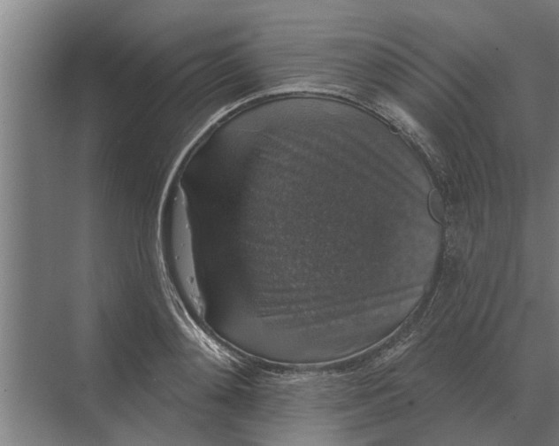 X0000070220892200606091647