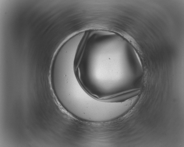 X0000070220904200606091647