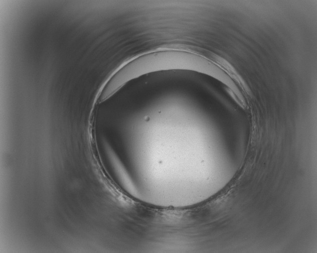 X0000070220908200606091647