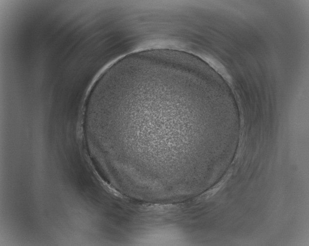 X0000070220912200606091647