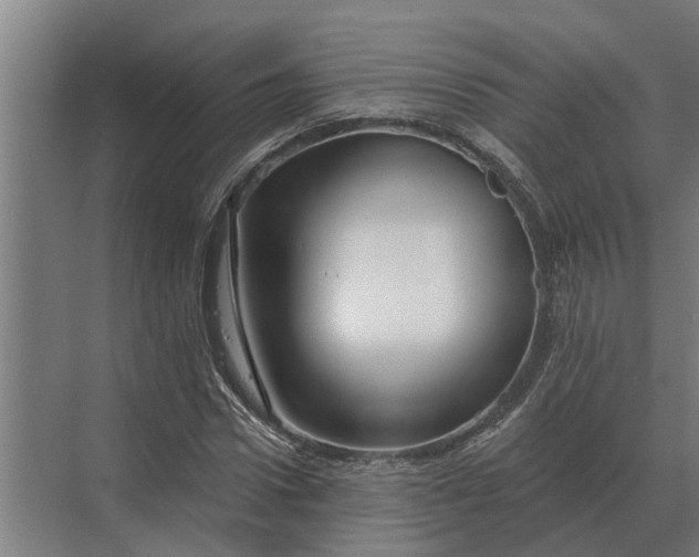 X0000070220922200606091646