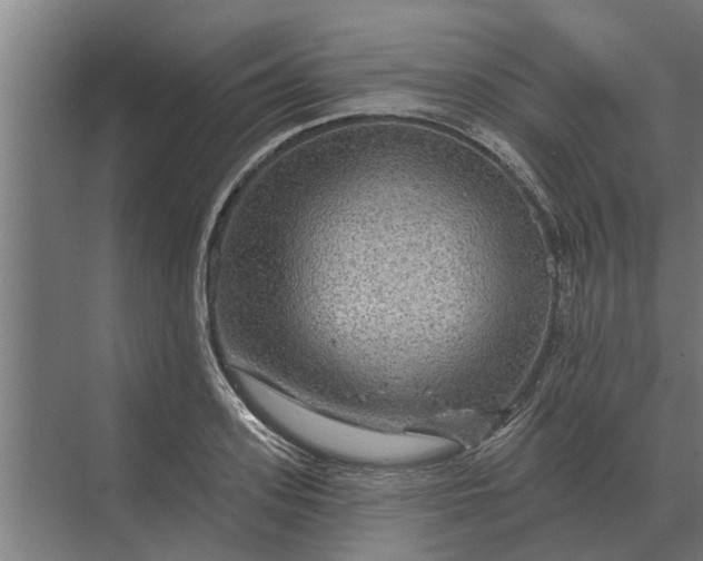 X0000070220939200606091647