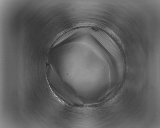 X0000070220945200606091647