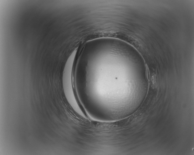 X0000070220963200606091646