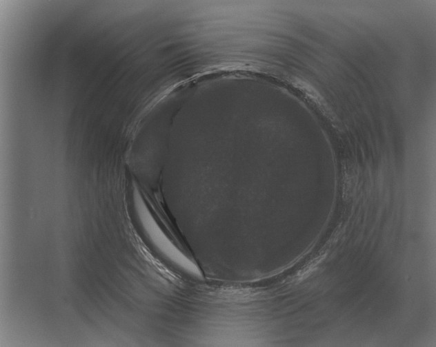 X0000070220977200606091646