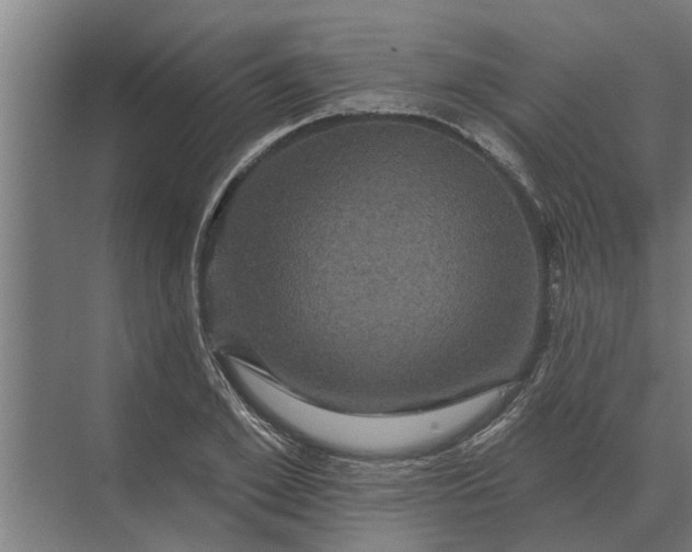 X0000070220981200606091646