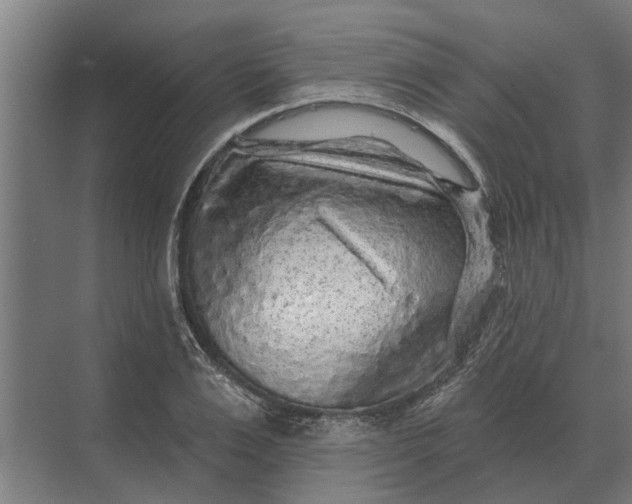 X0000070220983200606091646