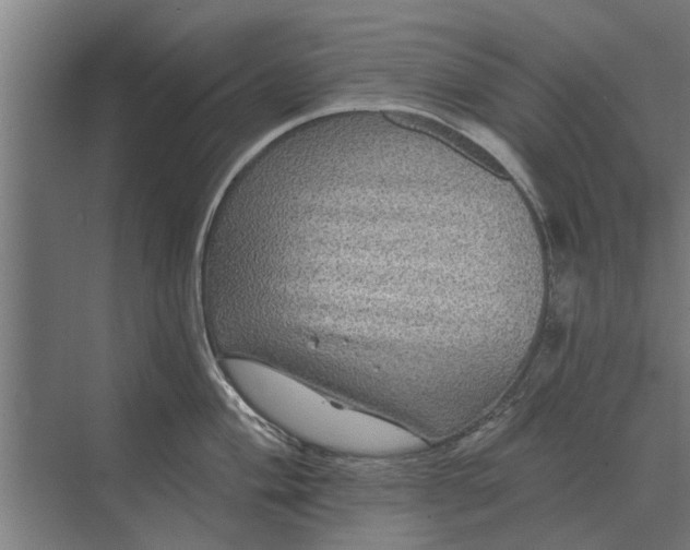 X0000070221004200606091645