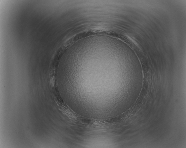 X0000070221015200606091645