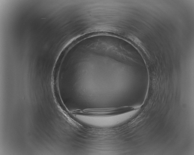 X0000070221024200606091645