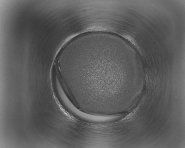 X0000070221030200606091645