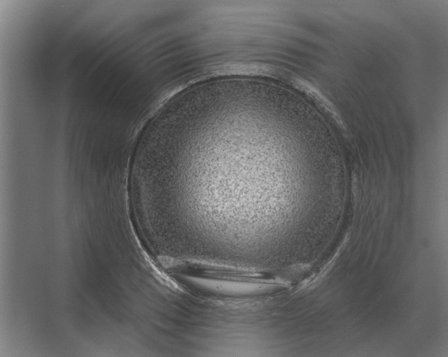 X0000070221033200606091645