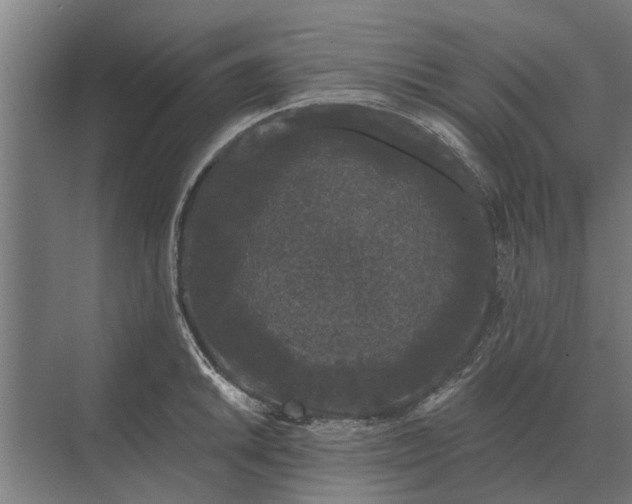 X0000070221046200606091645