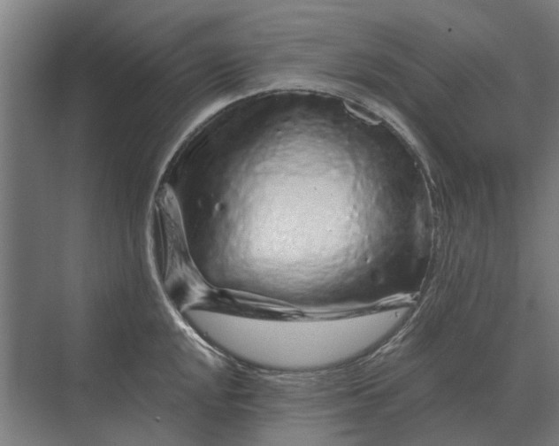 X0000070221048200606091645