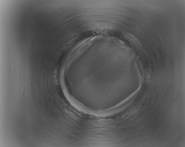 X0000070221060200606091644
