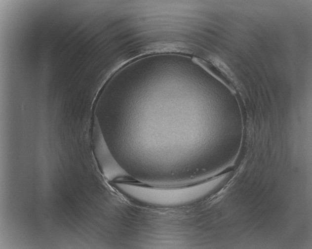X0000070221089200606091644