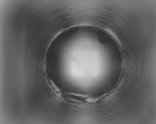 X0000070221097200606091644