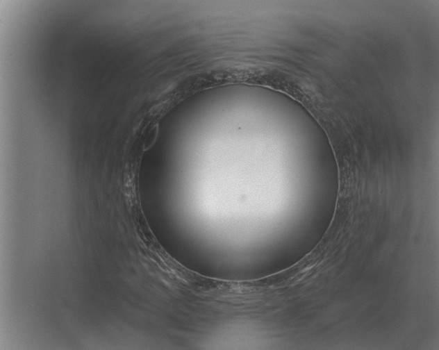 X0000070221109200606091643