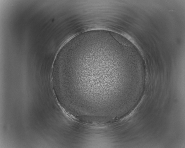 X0000070221145200606091644