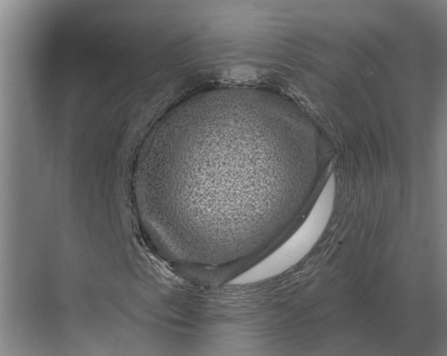 X0000070221153200606091643