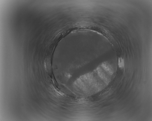 X0000070221155200606091643