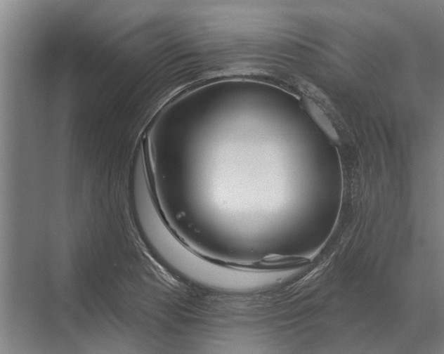 X0000070221177200606091642
