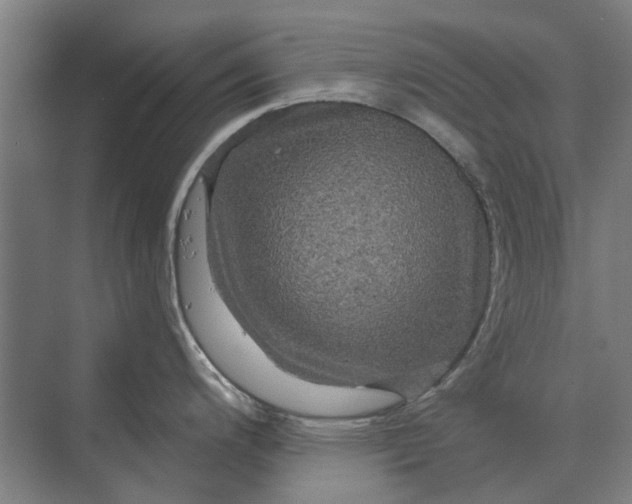 X0000070221200200606091642