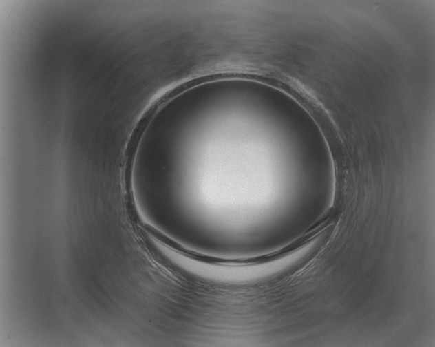 X0000070221222200606091642