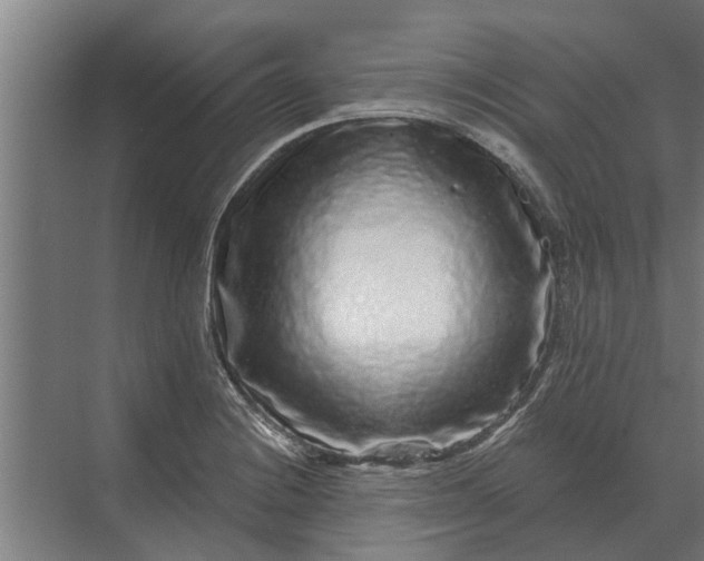 X0000070221228200606091642