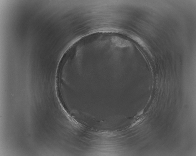 X0000070221229200606091642