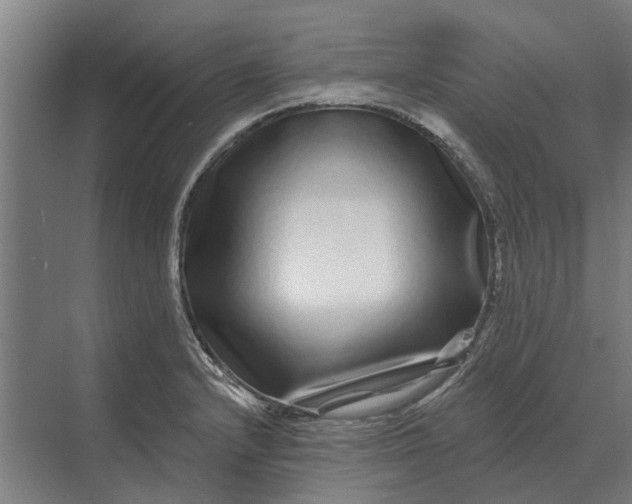 X0000070221232200606091642