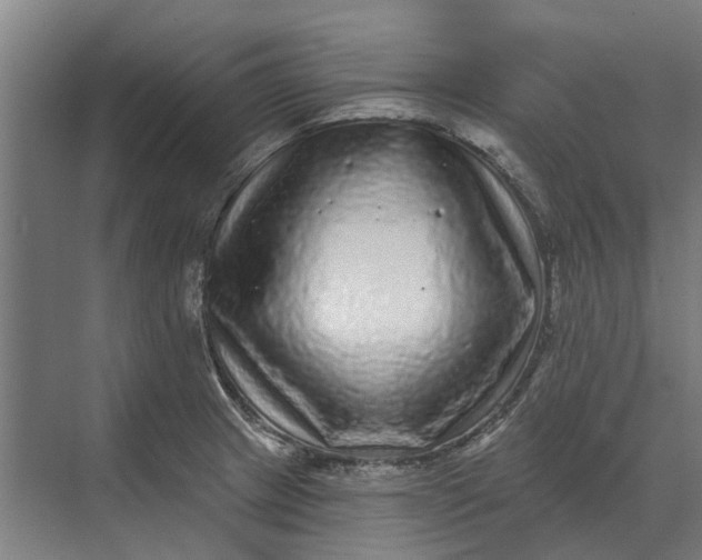 X0000070221233200606091642