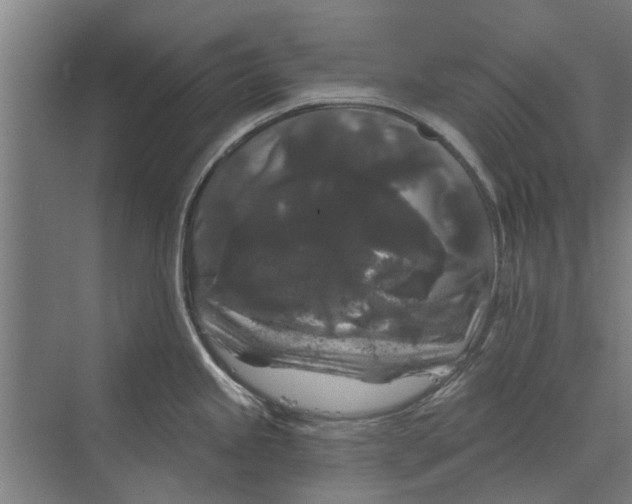 X0000070221245200606091642