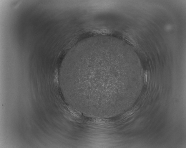 X0000070221251200606091641