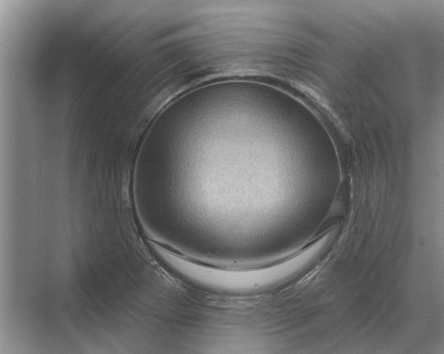 X0000070221273200606091641