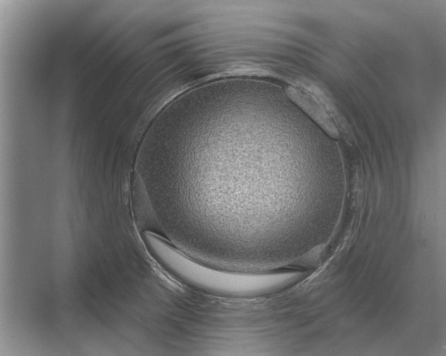 X0000070221281200606091641