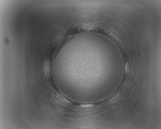 X0000070221299200606091640