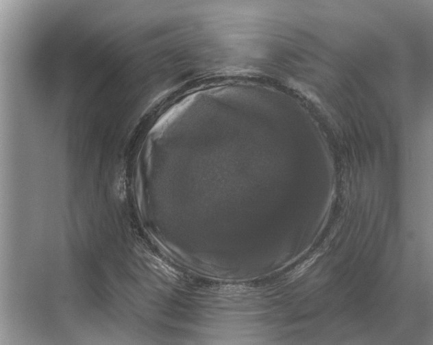 X0000070221306200606091640