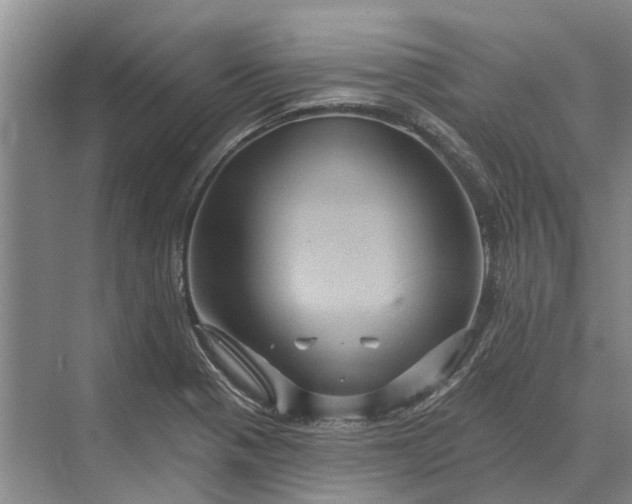 X0000070221321200606091640