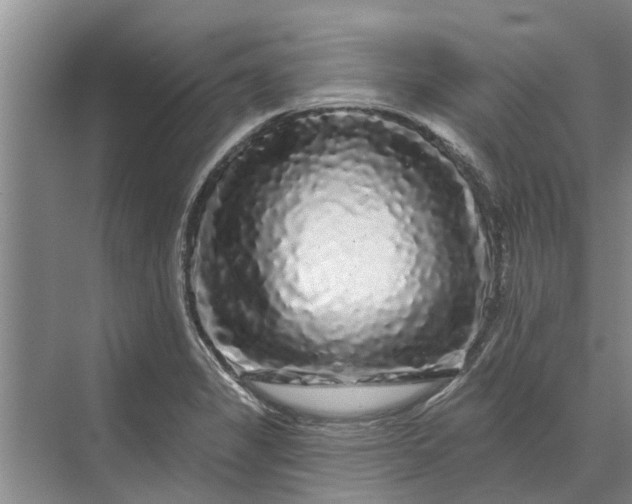 X0000070221325200606091640