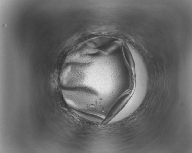 X0000070221350200606091640