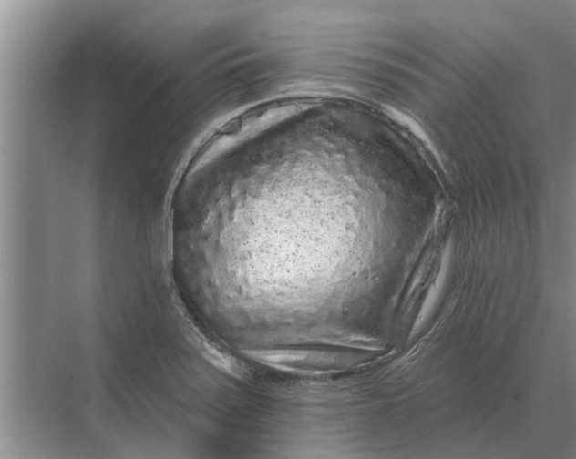 X0000070221371200606091639