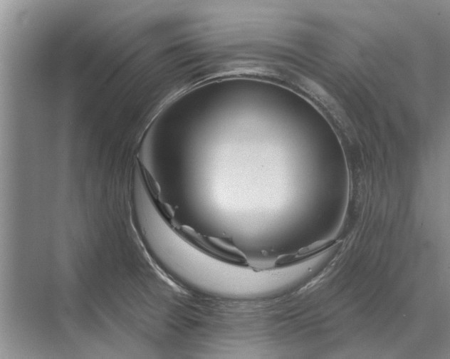 X0000070221377200606091639