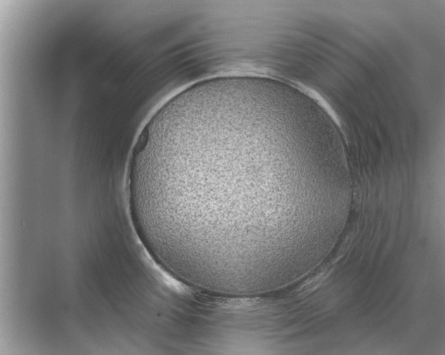 X0000070221387200606091639