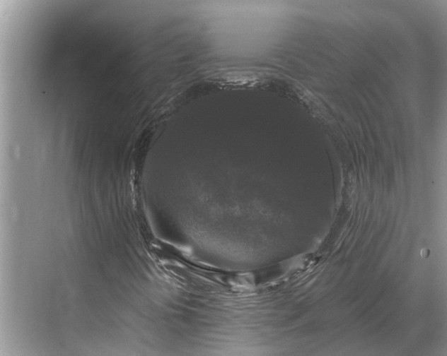X0000070221394200606091638