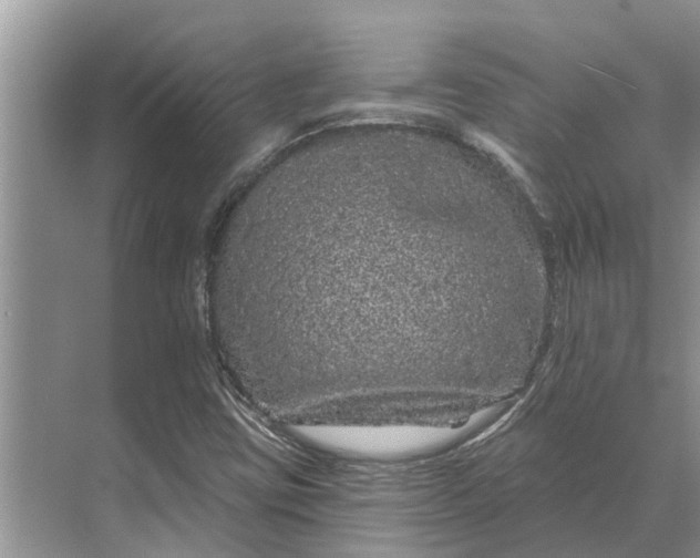 X0000070221403200606091638