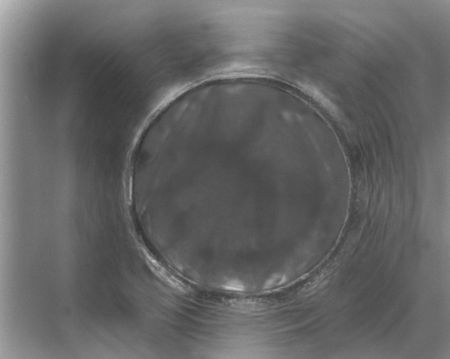 X0000070221413200606091638